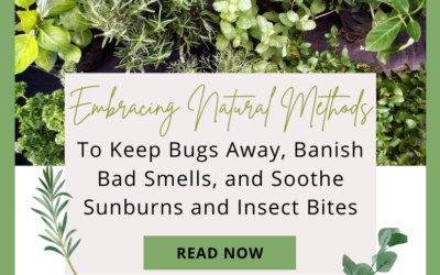Embracing Natural Methods To Keep Bugs Away, Banish Bad Smells, and Soothe Sunburns and Insect Bites